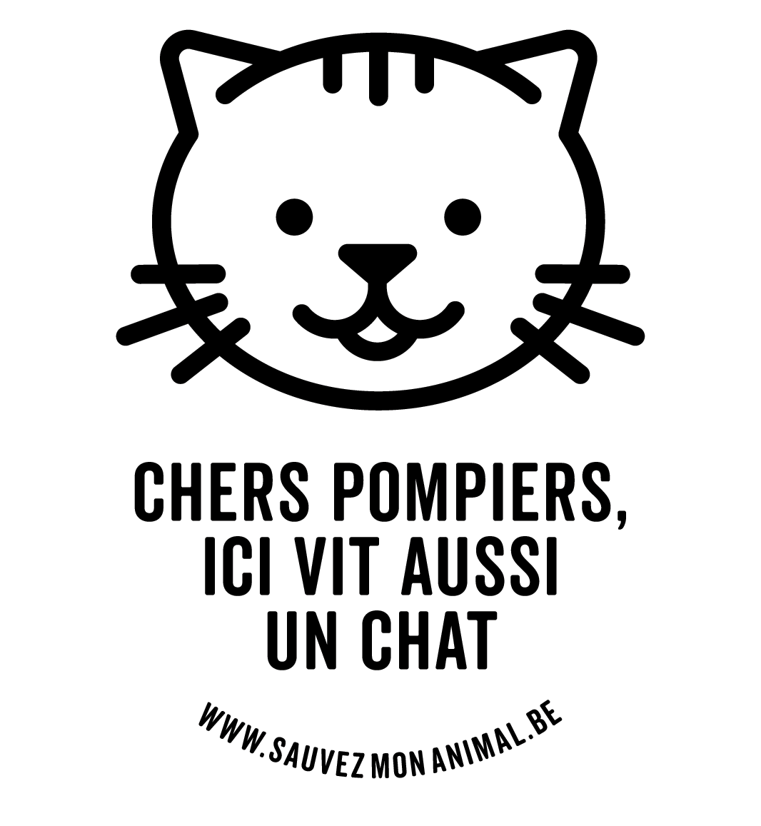 UN CHAT