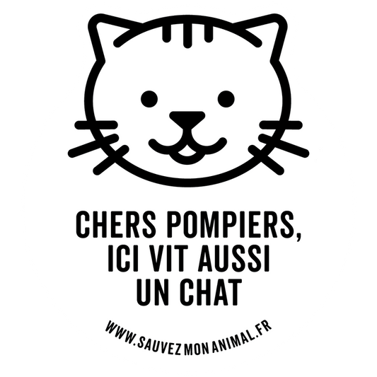 UN CHAT