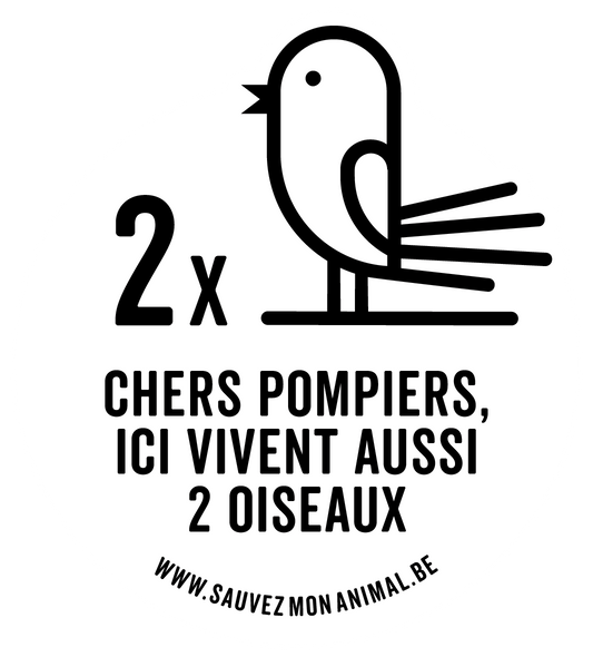 DEUX OISEAUX