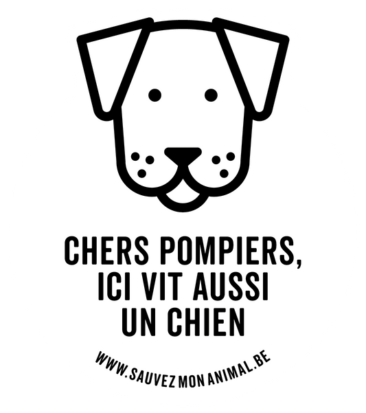 UN CHIEN