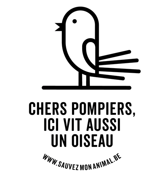 UN OISEAU